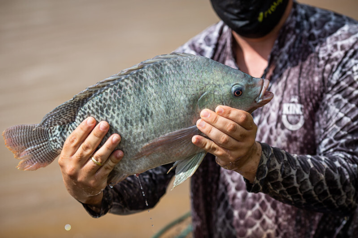 RISCO SANITÁRIO  ][ CNA pede suspensão de importação de pescados do Vietnã